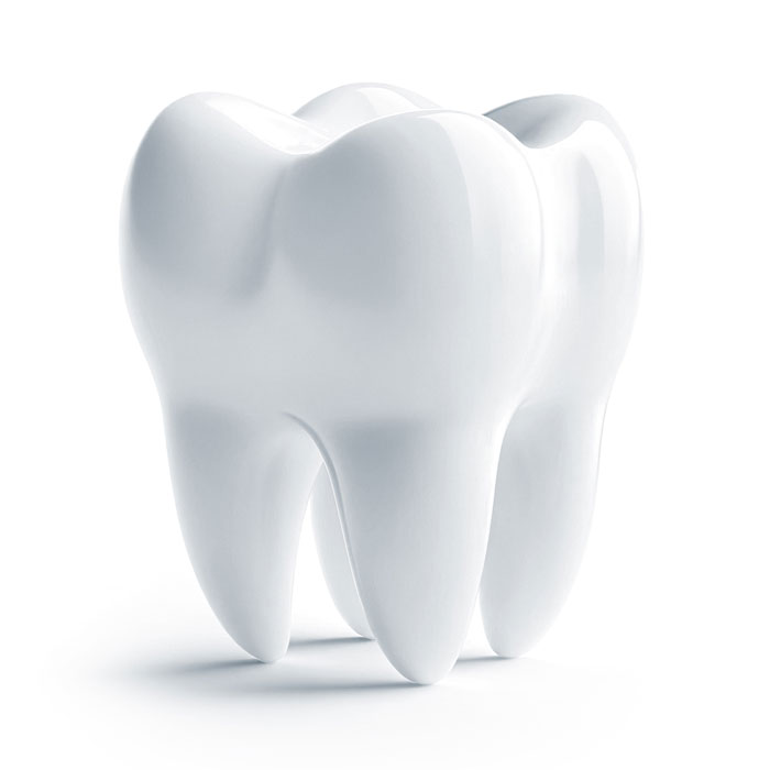 model of a shiny white tooth